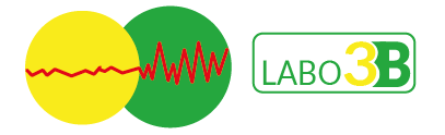 Laboratoire 3 b